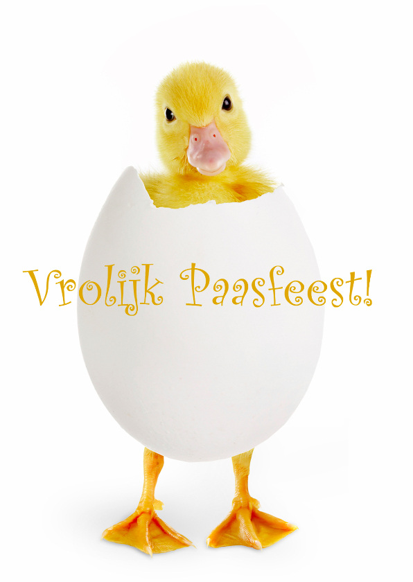 Paaskaarten - Vrolijk paasfeest van Tsjilp