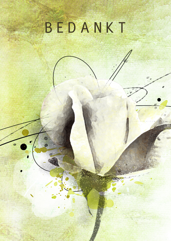 Rouwkaarten - Bedankkaart groen witte roos
