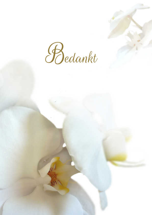 Rouwkaarten - Hemels witte bedankt orchidee