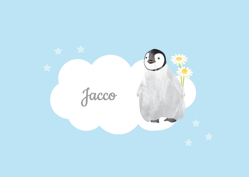 Kinderrouwkaart jongen pinguin - Rouwkaarten Rouwkaarten - Kinderrouwkaart jongen pinguin