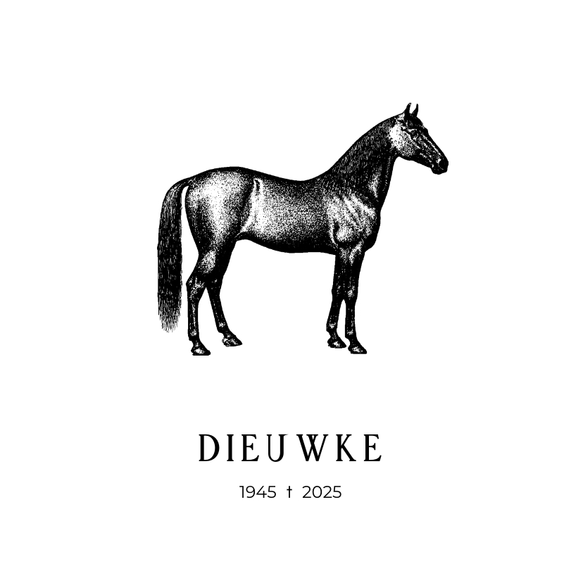Minimalistische rouwkaart met een illustratie van een paard - Rouwkaarten Rouwkaarten - Minimalistische rouwkaart met een illustratie van een paard