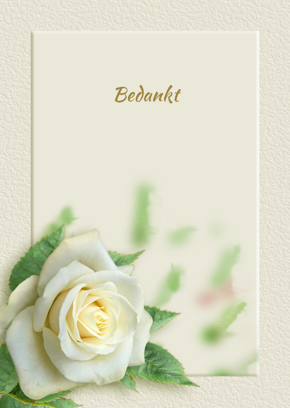 Rouwkaarten - Mooie bedankkaart met wit-gele roos en tekstvoorstel