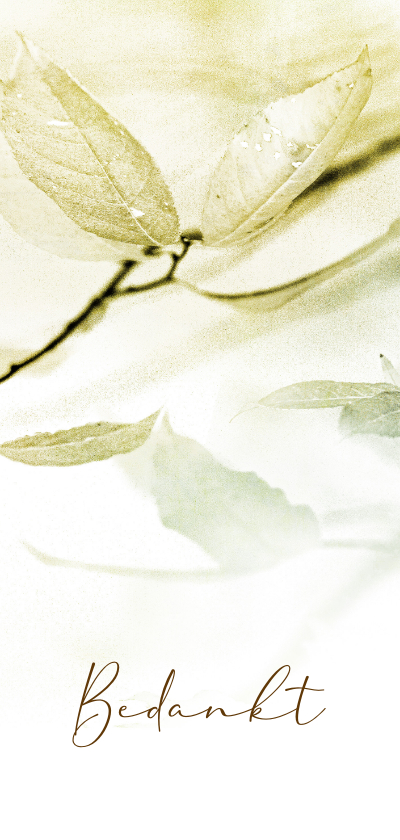 Rouwkaarten - Rouw- bedankkaart wit bladeren sereen