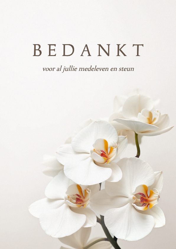 Rouwkaart bedankt orchidee bloemen klassiek stijlvol - Rouwkaarten Rouwkaarten - Rouwkaart bedankt orchidee bloemen klassiek stijlvol