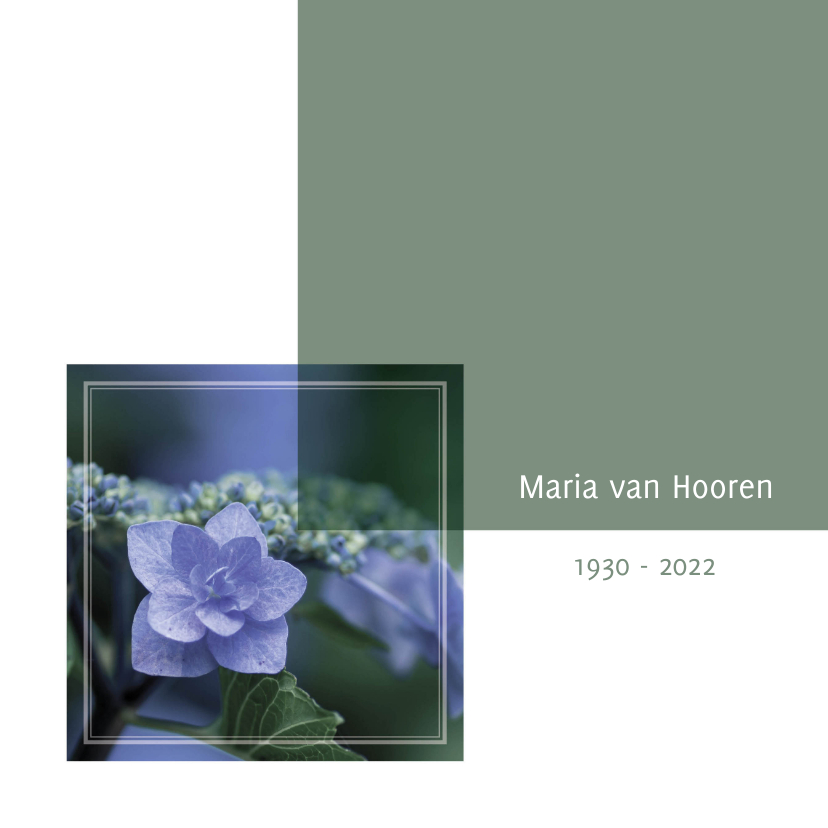 rouwkaart foto hortensia - Rouwkaarten Rouwkaarten - rouwkaart foto hortensia