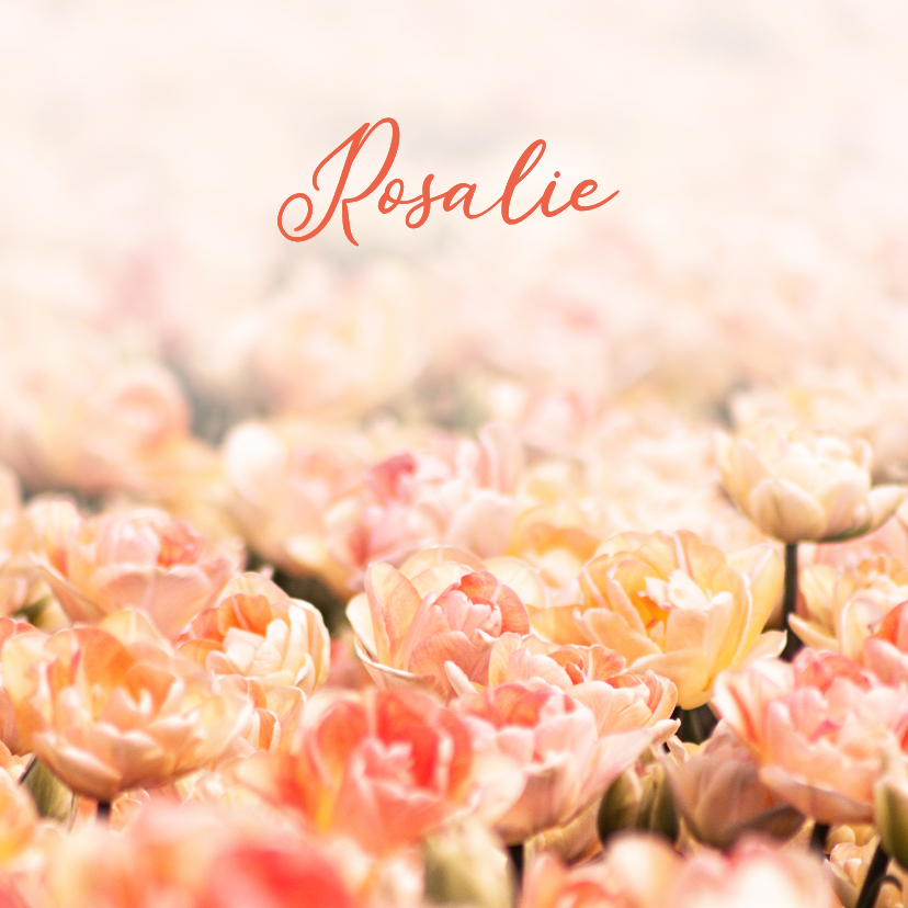 Rouwkaart foto oranje tulpen - Rouwkaarten Rouwkaarten - Rouwkaart foto oranje tulpen