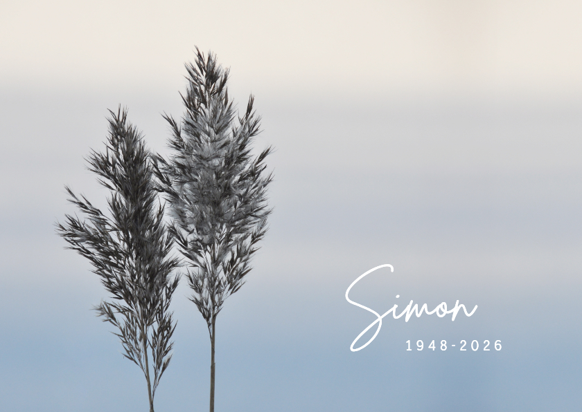 Rouwkaart foto riethalmen en neutrale achtergrond - Rouwkaarten Rouwkaarten - Rouwkaart foto riethalmen en neutrale achtergrond