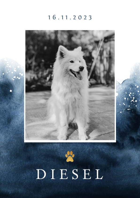 Rouwkaarten - Rouwkaart hond stijlvol verf goud foto hondenpootje