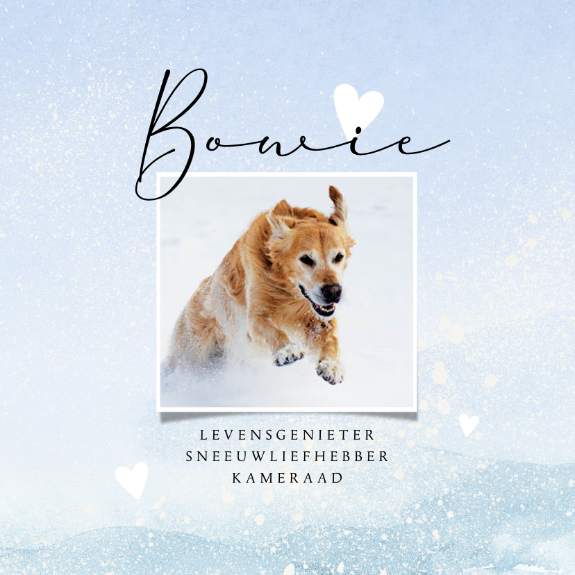 Rouwkaarten - Rouwkaart huisdier thema sneeuw aquarel met hartjes
