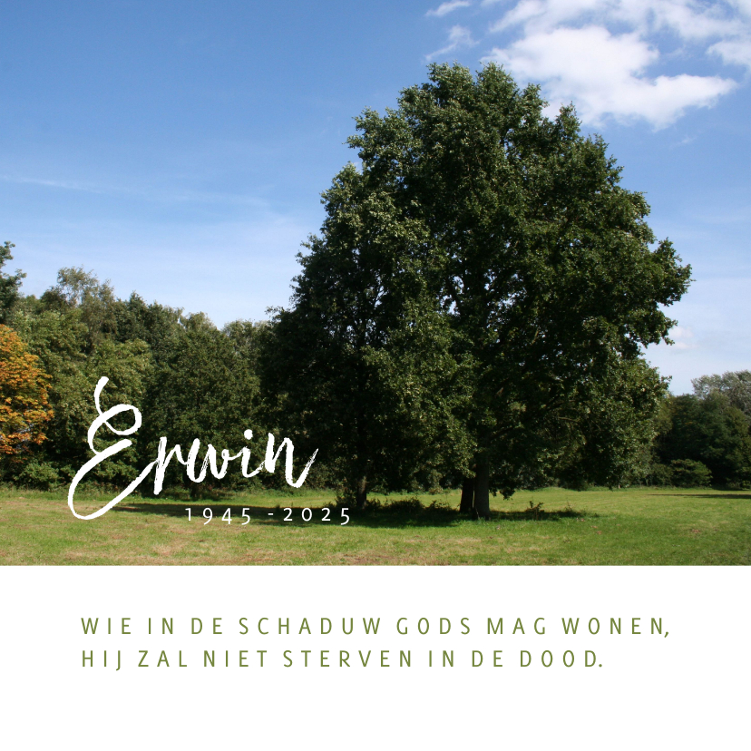 Rouwkaarten - Rouwkaart met foto van boom in landschap