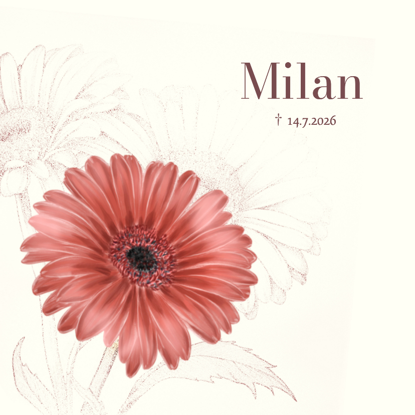 Rouwkaarten - Rouwkaart met roodbruine Gerbera bloem