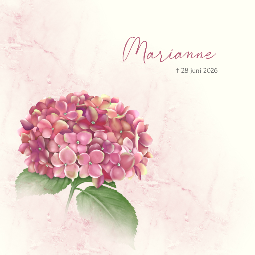 Rouwkaarten - Rouwkaart met roze hortensia