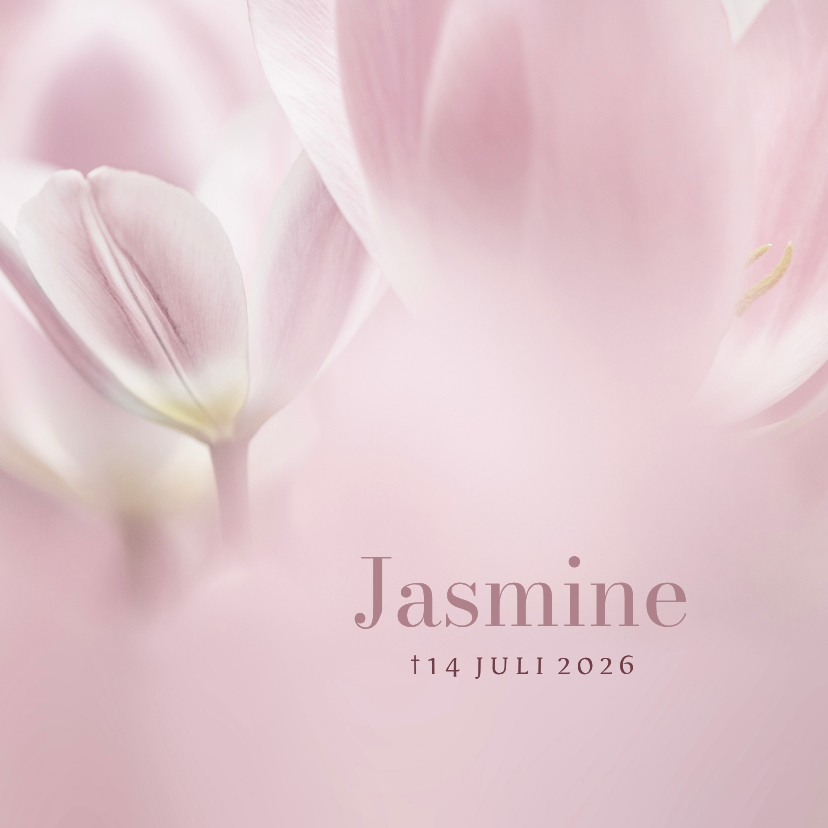 Rouwkaarten - Rouwkaart met roze tulpen