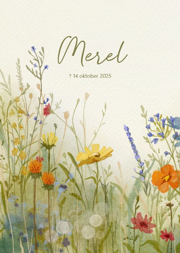 Rouwkaart sfeervolle veldbloemen - Rouwkaarten Rouwkaarten - Rouwkaart sfeervolle veldbloemen