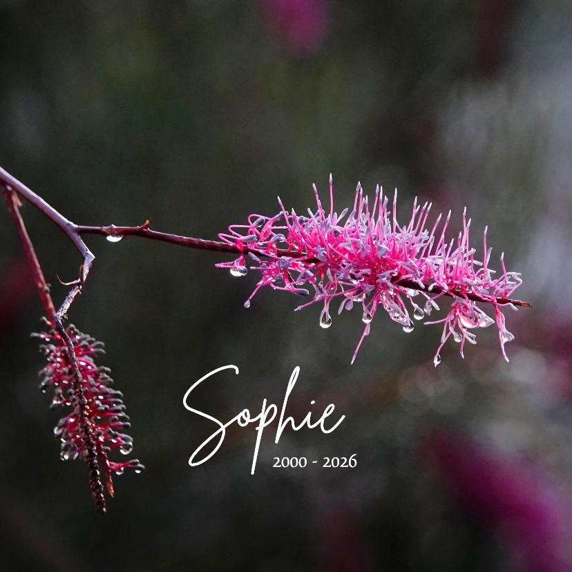 Rouwkaarten - Rouwkaart takken met regendruppels