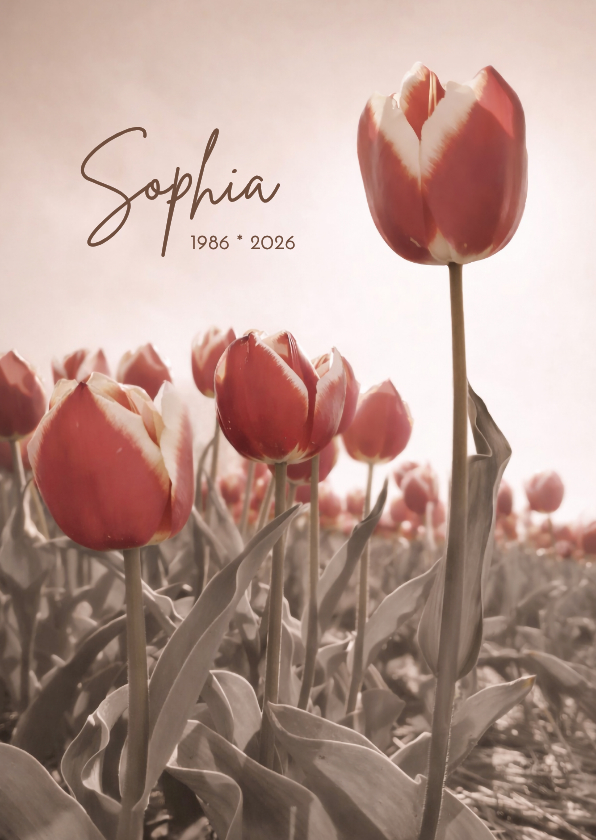 Rouwkaarten - Rouwkaart tulpenveld sepia rood