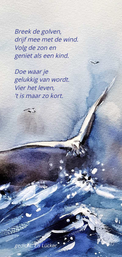 Rouwkaart Vier het leven met beeld van meeuw - Rouwkaarten Rouwkaarten - Rouwkaart Vier het leven met beeld van meeuw