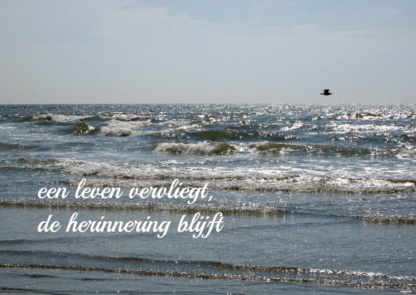 Rouwkaart zee en vogel - Rouwkaarten Rouwkaarten - Rouwkaart zee en vogel