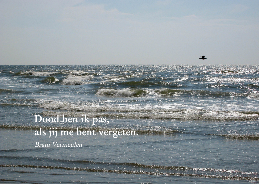 Rouwkaart zee en vogel - Rouwkaarten Rouwkaarten - Rouwkaart zee en vogel