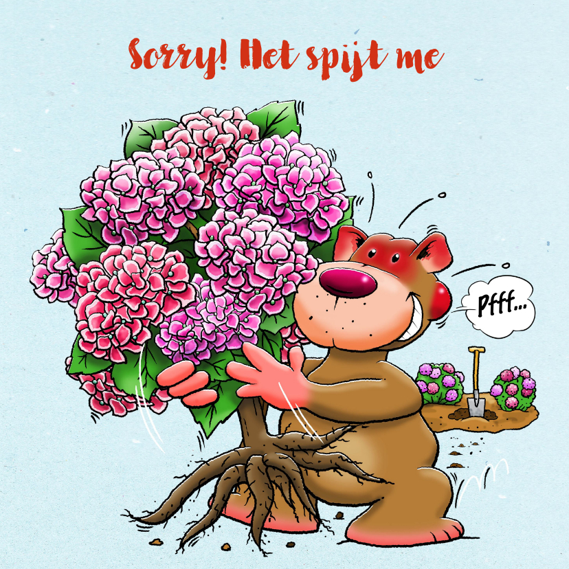 Leuke sorry kaart voor een vriendin met Hortensia-struik - Sorry kaarten Sorry kaarten - Leuke sorry kaart voor een vriendin met Hortensia-struik