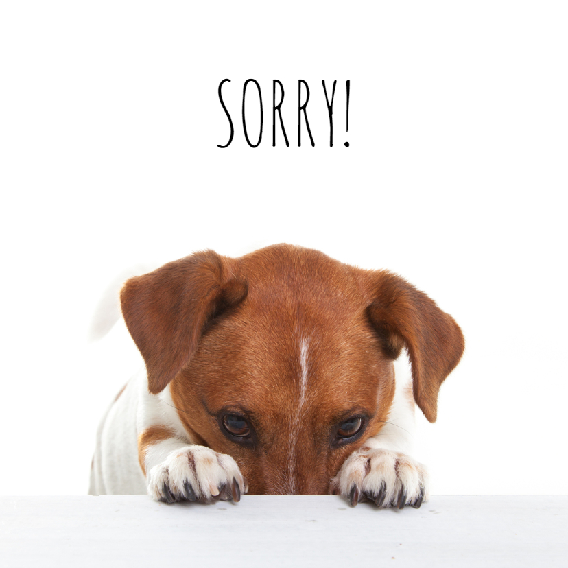 Sorry kaart - Boris de hond - Spijt - Sorry kaarten Sorry kaarten - Sorry kaart - Boris de hond - Spijt