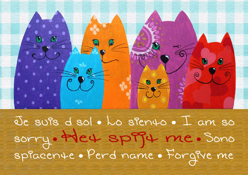 Sorry kaart Katten het spijt me - Sorry kaarten Sorry kaarten - Sorry kaart Katten het spijt me