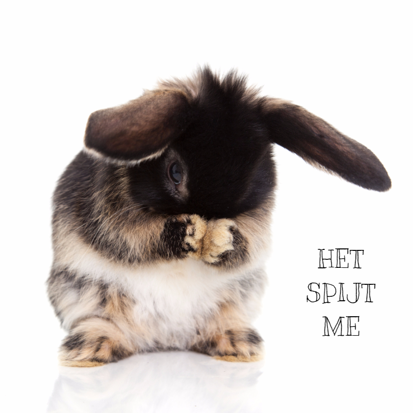 Sorry kaart konijntje - Sorry kaarten Sorry kaarten - Sorry kaart konijntje