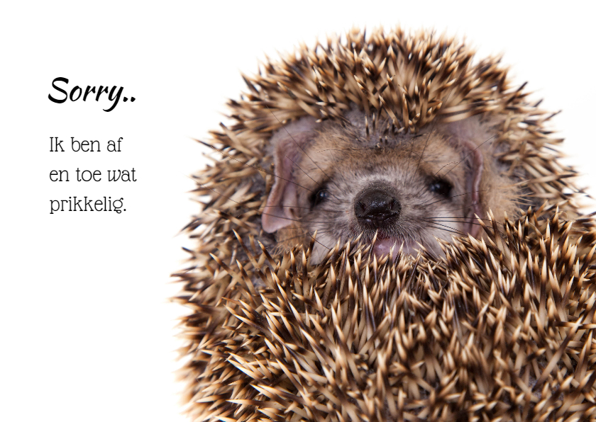 Sorry kaart - Lief prikkelig egeltje - Sorry kaarten Sorry kaarten - Sorry kaart - Lief prikkelig egeltje