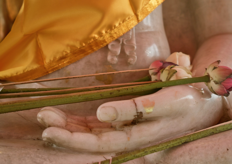 Religie kaarten - Boeddha hand met lotus