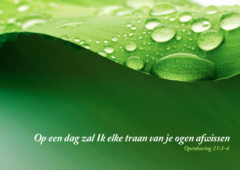 Christelijke kaart traan - Religie kaarten Religie kaarten - Christelijke kaart traan