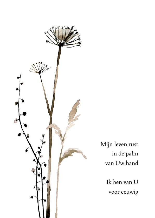 Religie kaarten - Religiekaart opwekking 697 droogbloemen