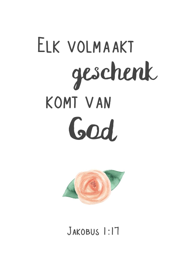 Religiekaartje geboorte bijbeltekst Volmaakt geschenk - Religie kaarten Religie kaarten - Religiekaartje geboorte bijbeltekst Volmaakt geschenk