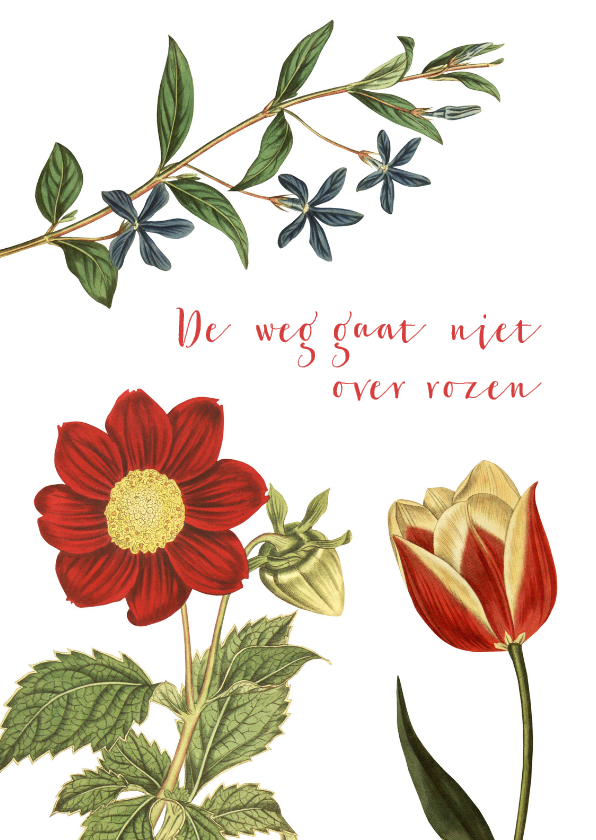 De weg gaat niet over rozen... - Spreukenkaarten Spreukenkaarten - De weg gaat niet over rozen...