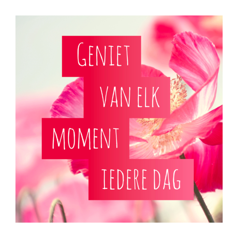 Elke dag genieten - DH - Spreukenkaarten Spreukenkaarten - Elke dag genieten - DH