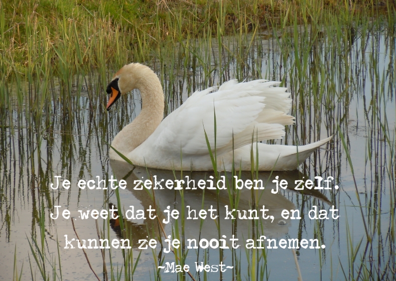 Je mag trots zijn op jezelf - Spreukenkaarten Spreukenkaarten - Je mag trots zijn op jezelf
