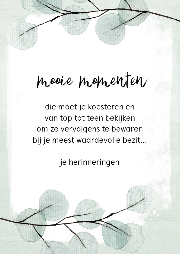 Kaart eucalyptus "mooie momenten" - Spreukenkaarten Spreukenkaarten - Kaart eucalyptus "mooie momenten"