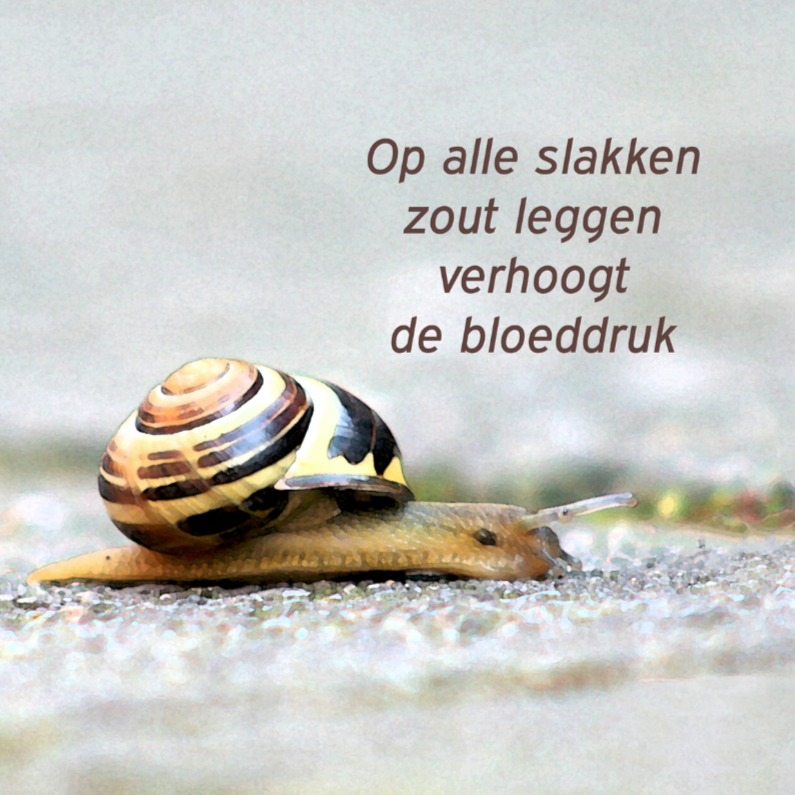 op alle slakken zout leggen - Spreukenkaarten Spreukenkaarten - op alle slakken zout leggen