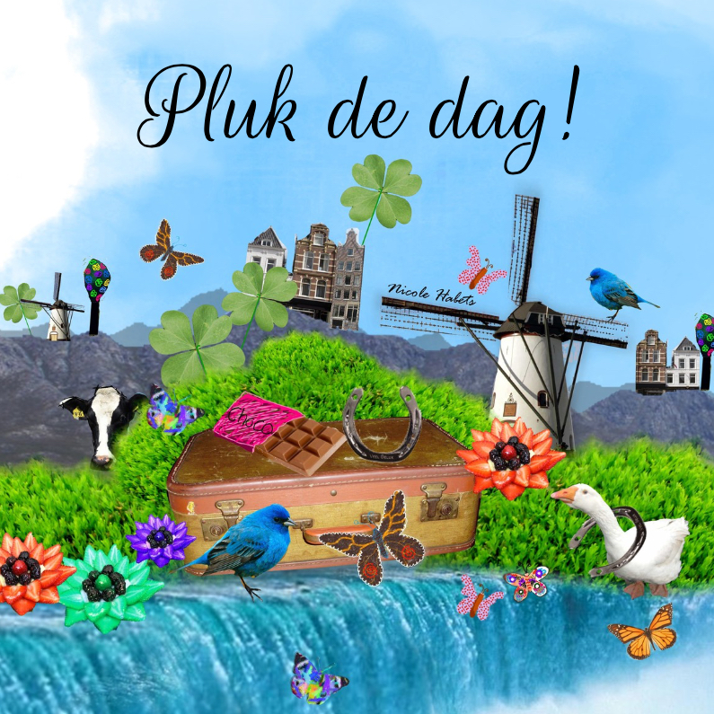 Pluk de dag - Spreukenkaarten Spreukenkaarten - Pluk de dag