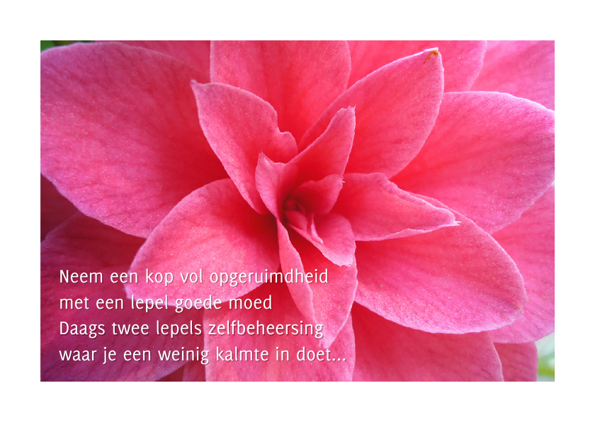 Spreuk recept voor geluk - Spreukenkaarten Spreukenkaarten - Spreuk recept voor geluk