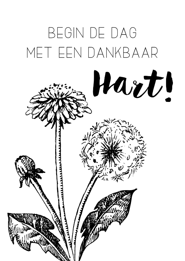 Spreukenkaart: Begin de dag met een dankbaar hart - Spreukenkaarten Spreukenkaarten - Spreukenkaart: Begin de dag met een dankbaar hart