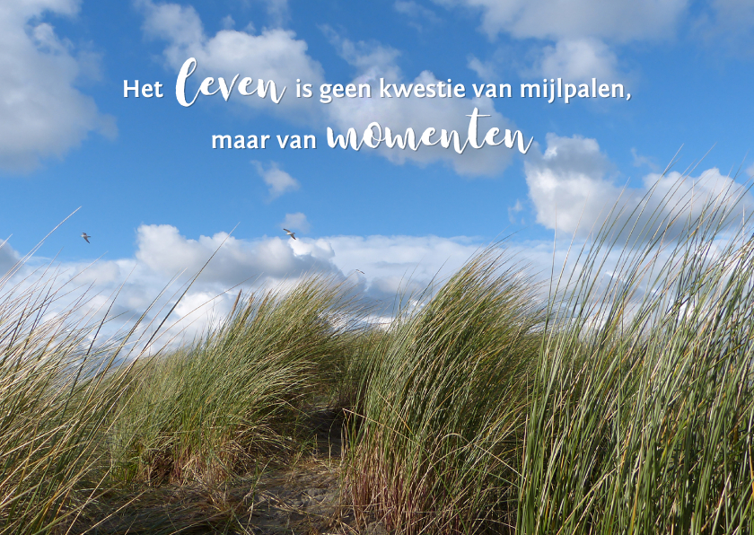 Spreukenkaart - duinlandschap - Spreukenkaarten Spreukenkaarten - Spreukenkaart - duinlandschap