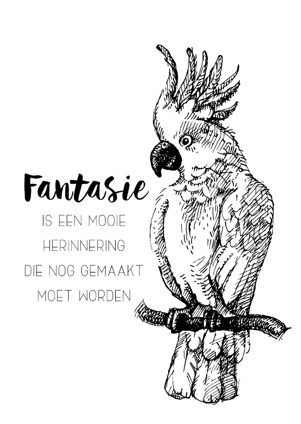 Spreukenkaart: Fantasie is een mooie herinnering - Spreukenkaarten Spreukenkaarten - Spreukenkaart: Fantasie is een mooie herinnering