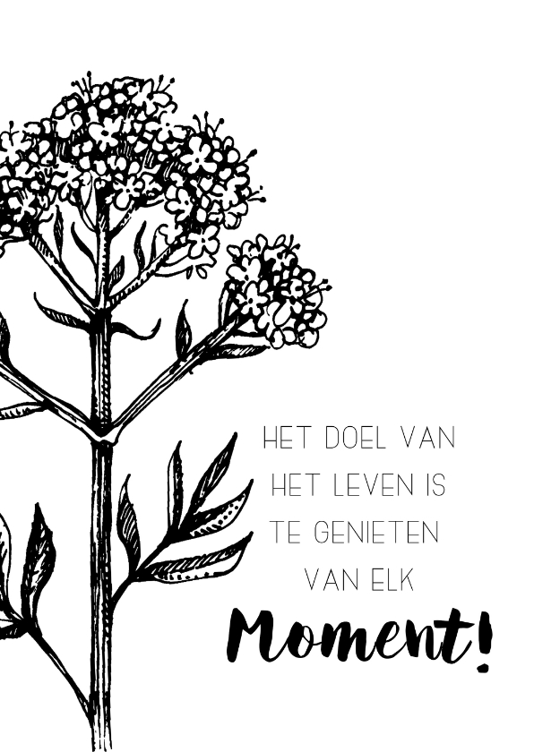 Spreukenkaart: Genieten van elk moment - Spreukenkaarten Spreukenkaarten - Spreukenkaart: Genieten van elk moment