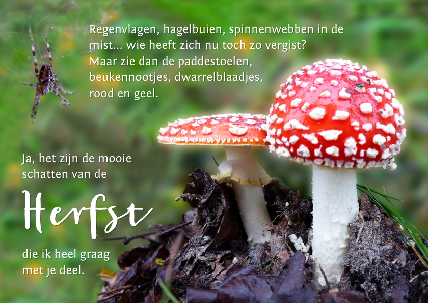 Spreukenkaart Herfst - Spreukenkaarten Spreukenkaarten - Spreukenkaart Herfst
