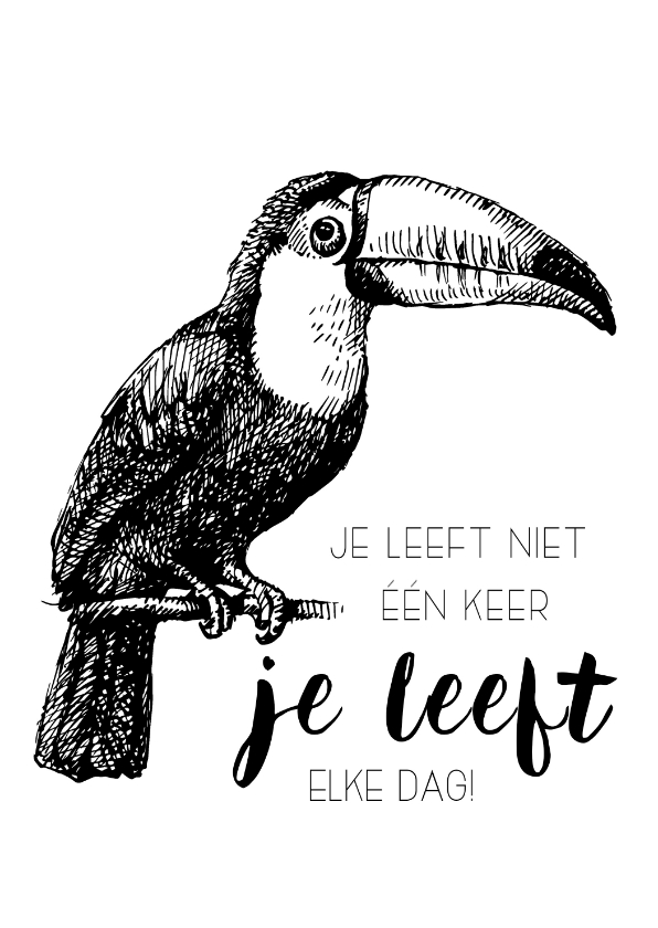 Spreukenkaart: Je leeft elke dag! - Spreukenkaarten Spreukenkaarten - Spreukenkaart: Je leeft elke dag!