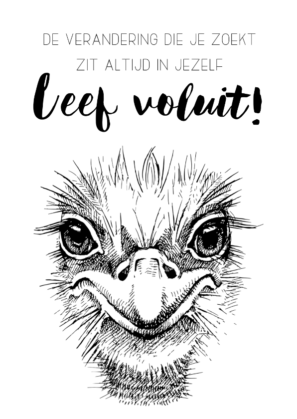 Spreukenkaart: Leef voluit - Spreukenkaarten Spreukenkaarten - Spreukenkaart: Leef voluit