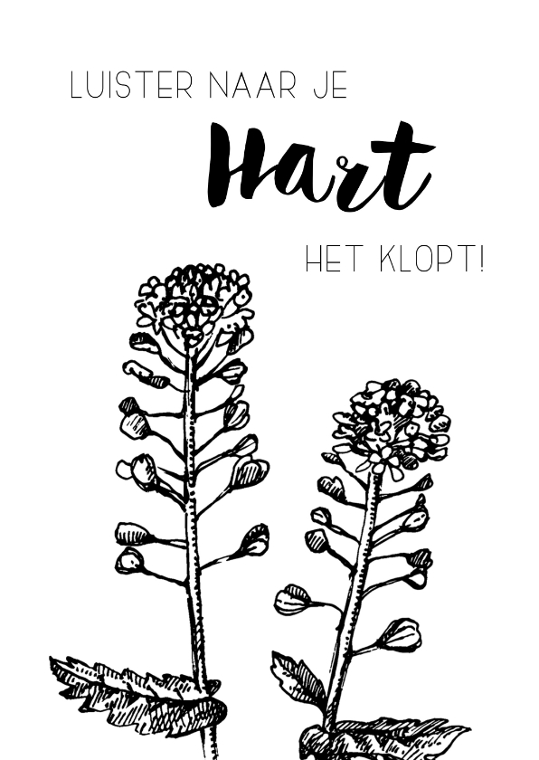 Spreukenkaart: Luister naar je hart - Spreukenkaarten Spreukenkaarten - Spreukenkaart: Luister naar je hart