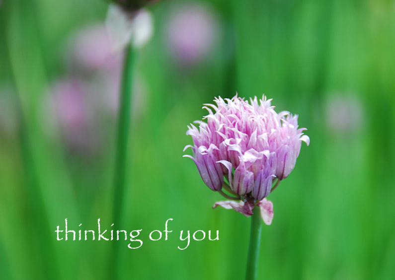 12051 Sterkte kaart Thinking of you - Sterkte kaarten Sterkte kaarten - 12051 Sterkte kaart Thinking of you