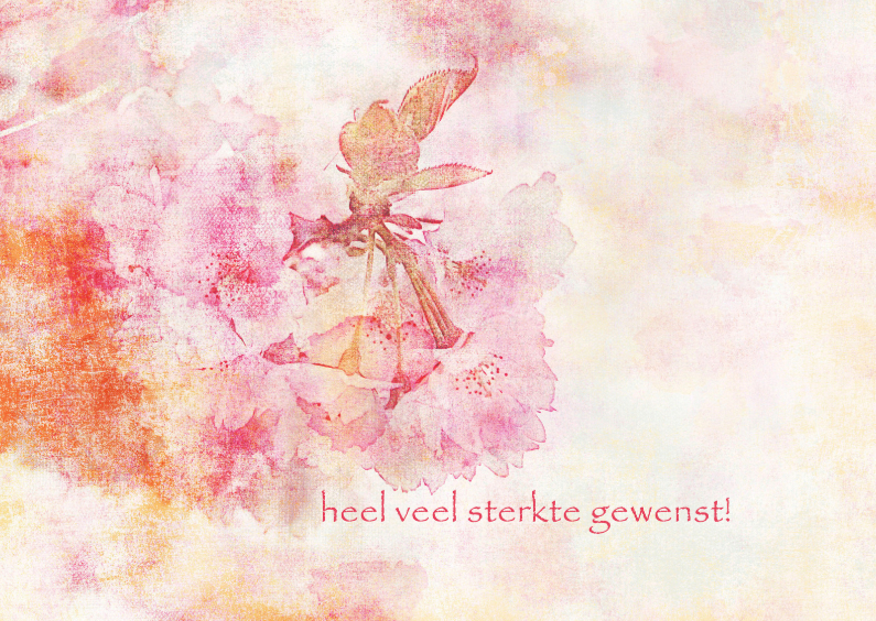 13108 Sterkte kaart - Sterkte kaarten Sterkte kaarten - 13108 Sterkte kaart