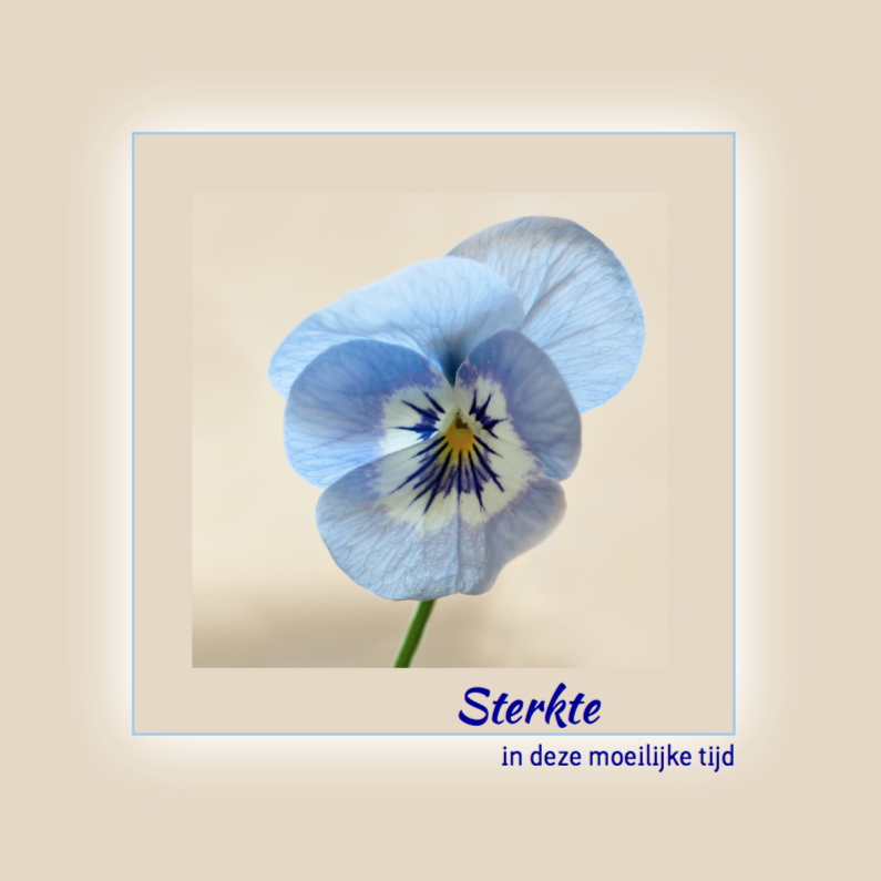 Blauw viooltje - Sterkte kaarten Sterkte kaarten - Blauw viooltje